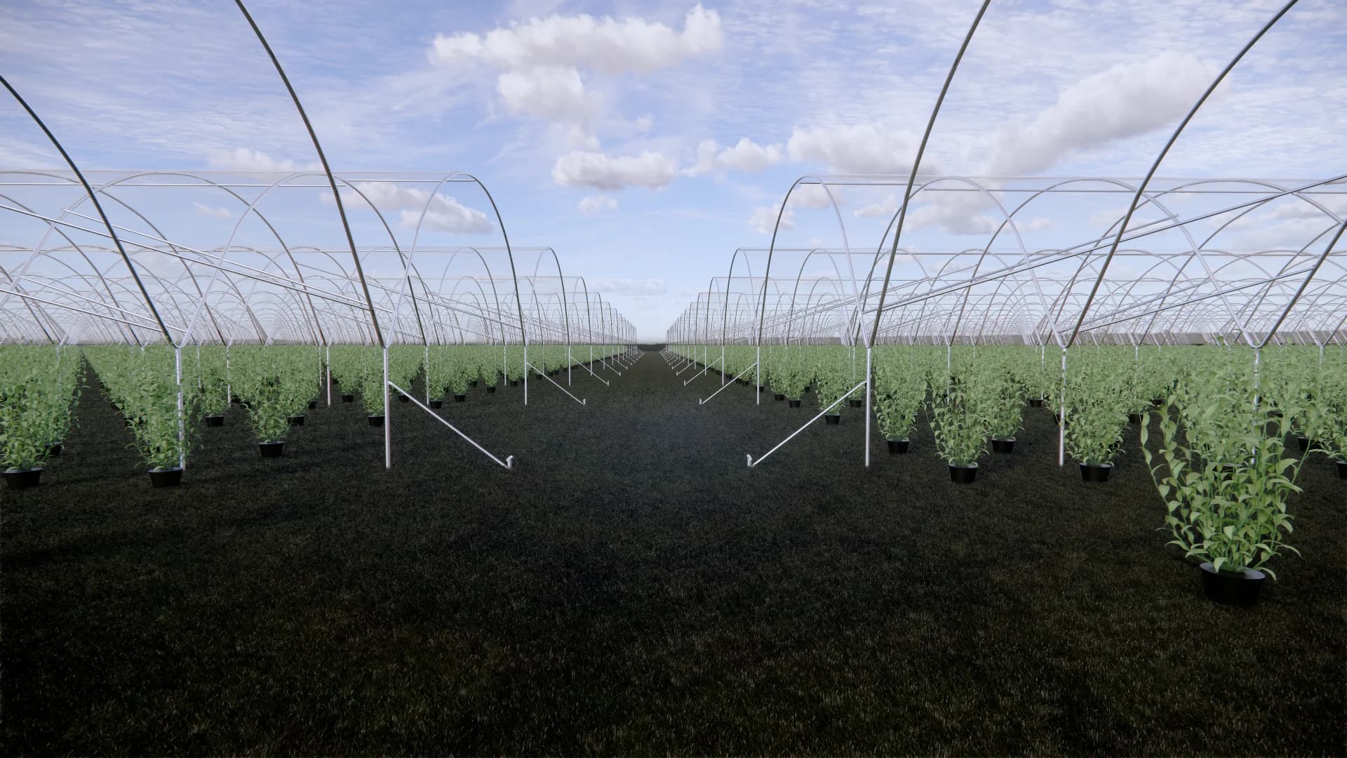 Robert's Farms 3